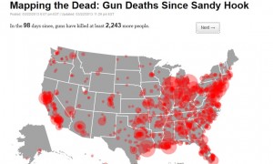 Gun Deaths