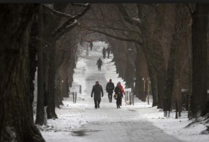 Blizzard 2015 Park